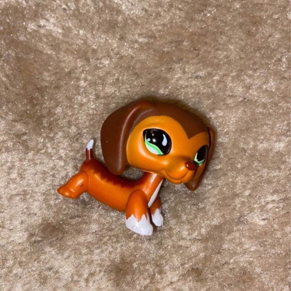 lps dog savannah
